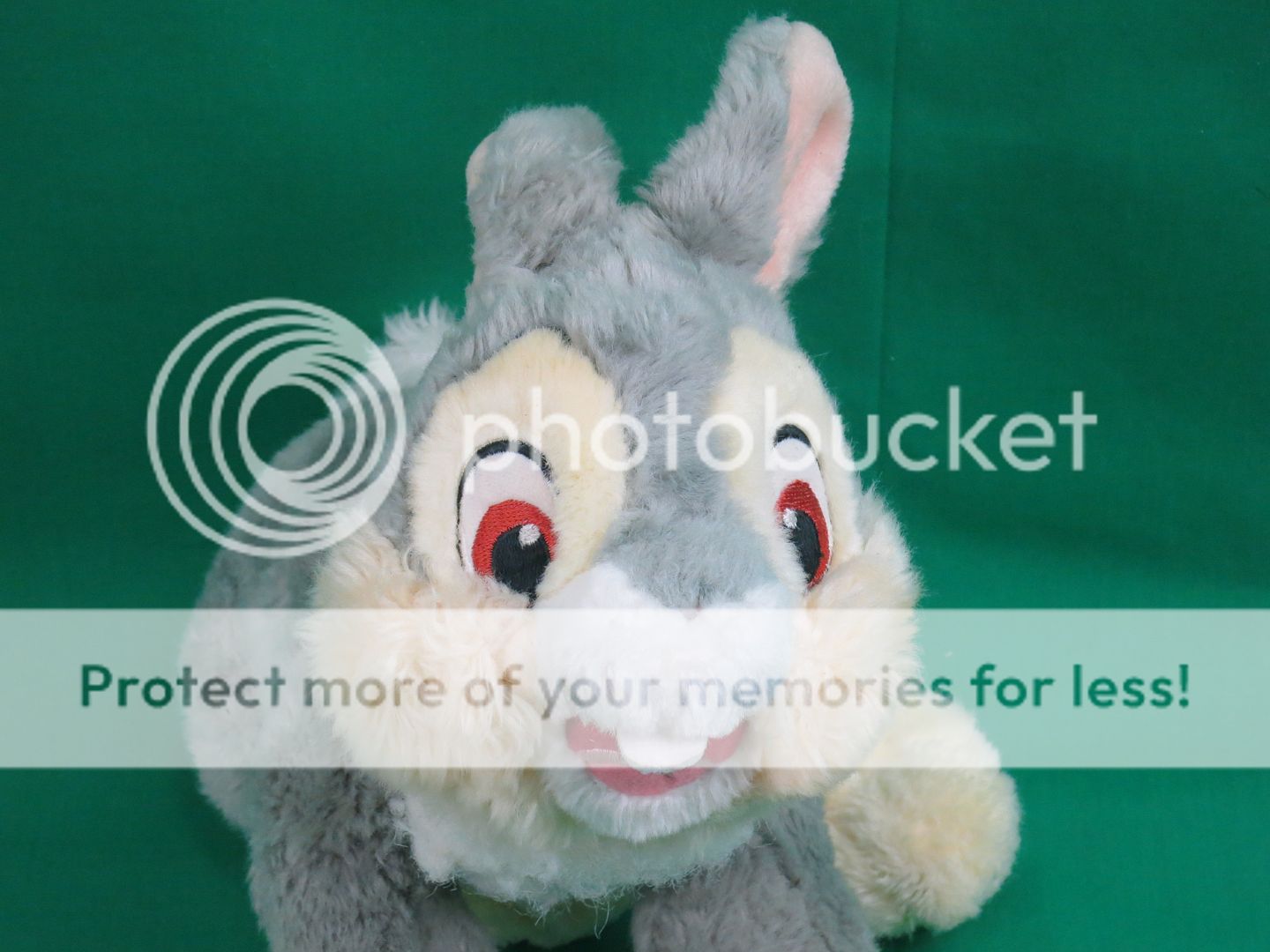 stuffed thumper